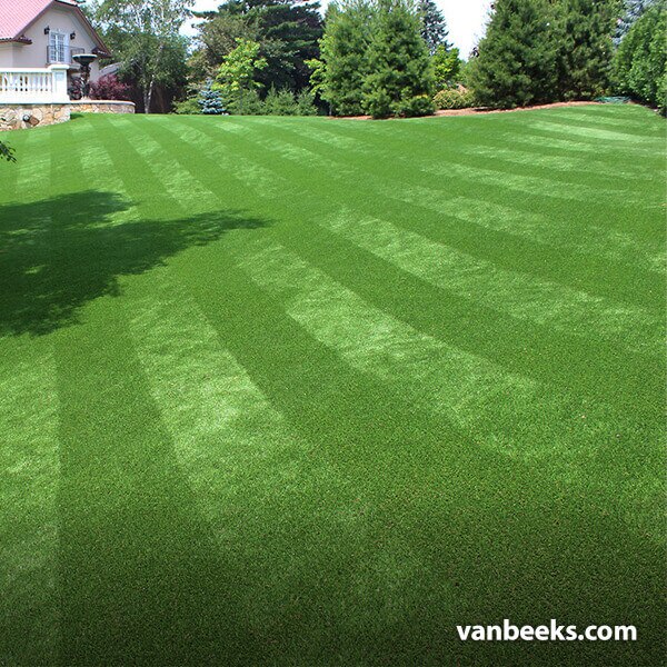 AGL Saratoga 60 Turf Preview